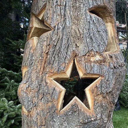 L'escapage Vintage - - 2