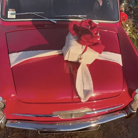 アパート L'escapage Vintage - - 2 Eschau